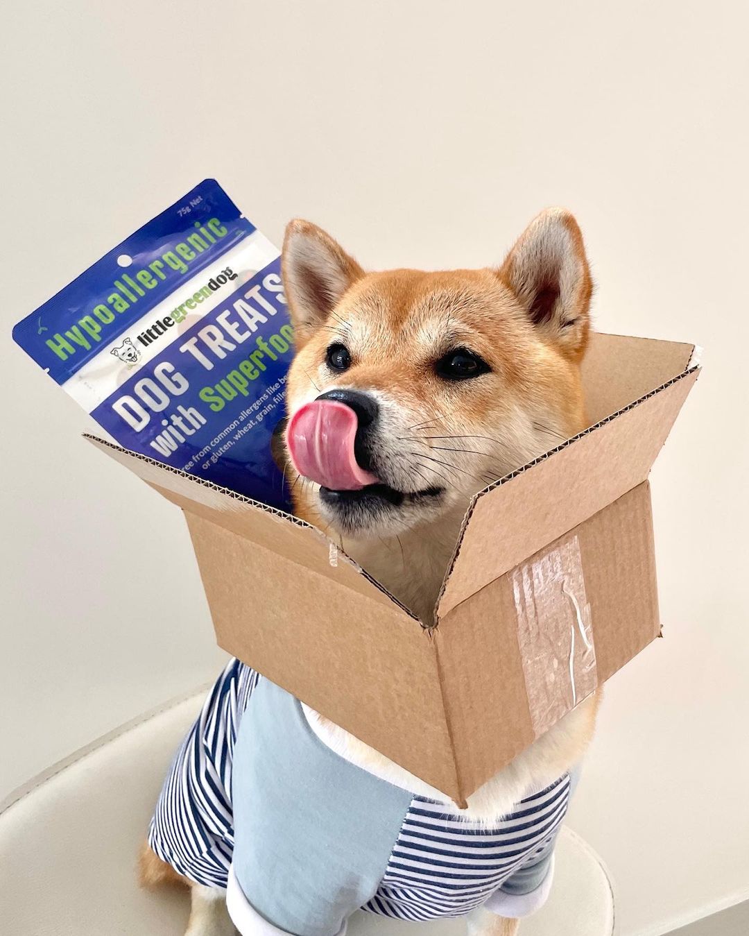 Image Title Alt Image