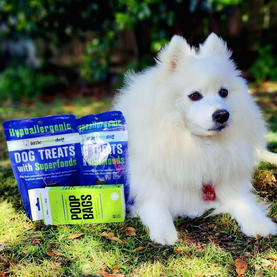 Image Title Alt Image