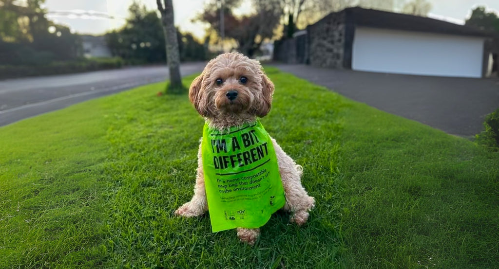 The Complete Guide to Home Composting Dog Waste: Turn Your Pup's Poo into Garden Gold