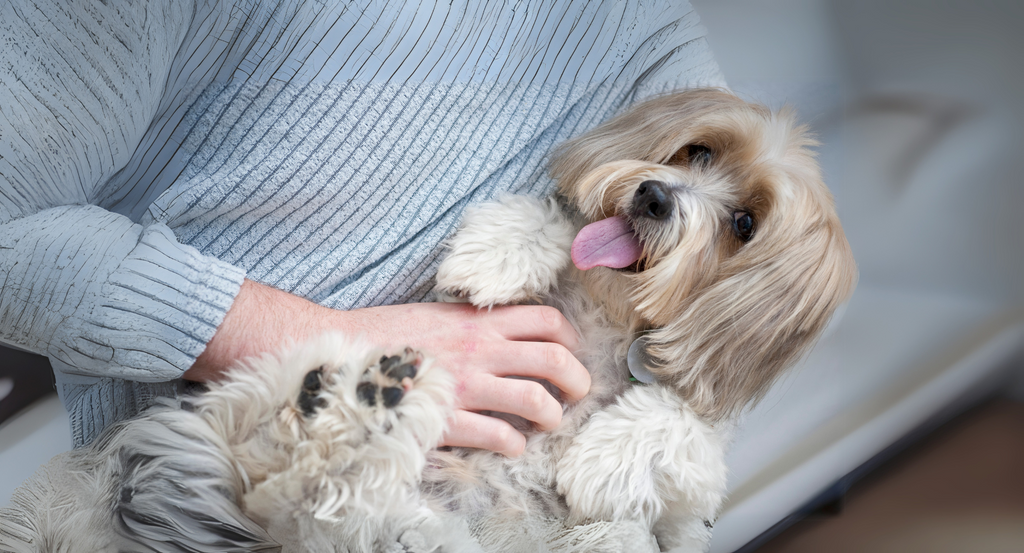 🦴 Let’s Talk Tummies: Why Digestive Health Matters More in Winter