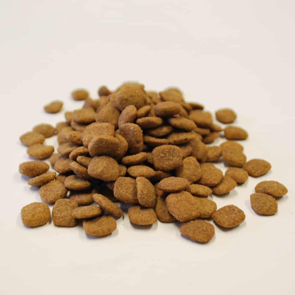 Sensitive Stomach Hypoallergenic Dog Kibble with Superfoods