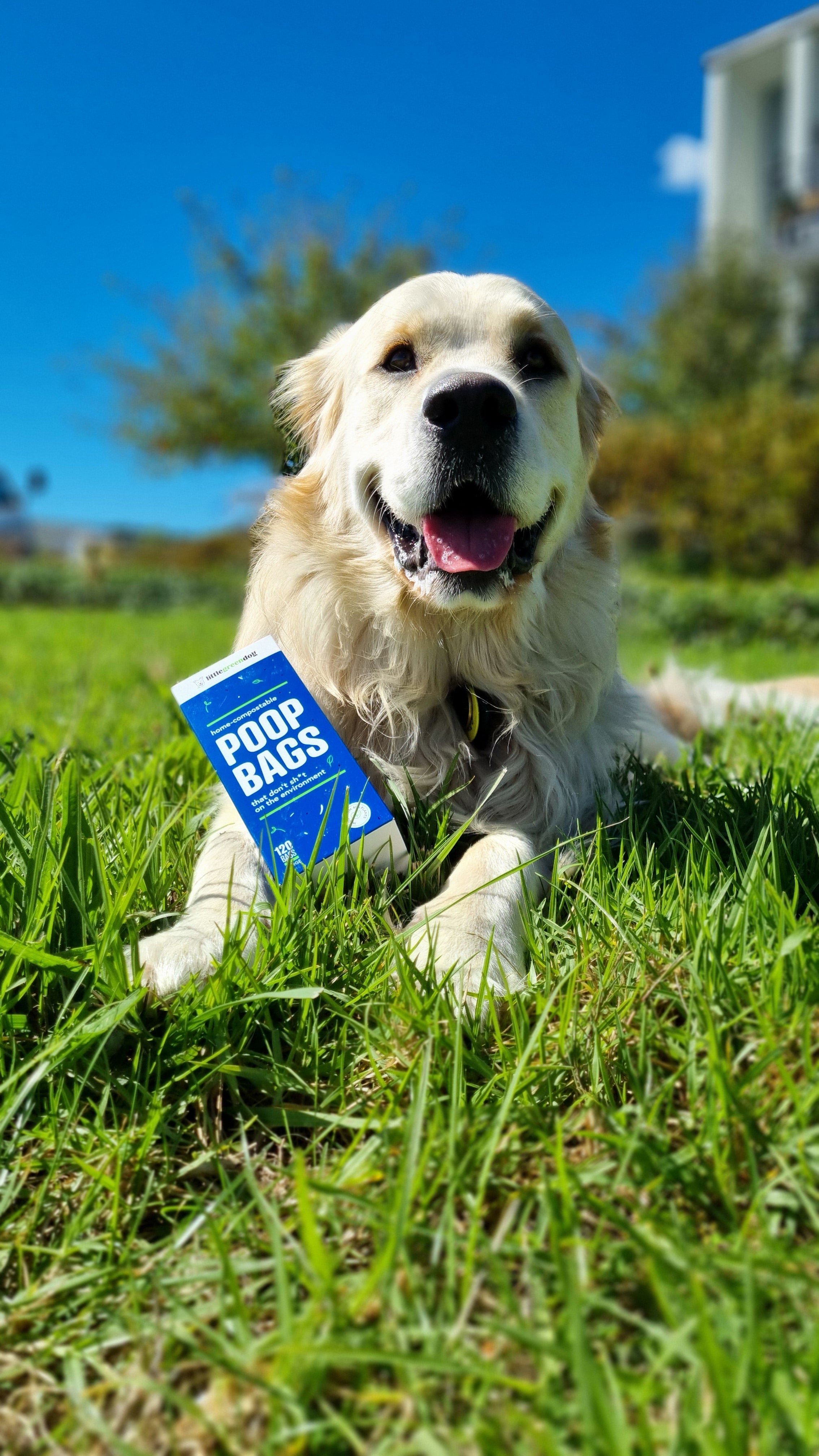 Compostable Poop Bags - 10-Pack (120 Bags)