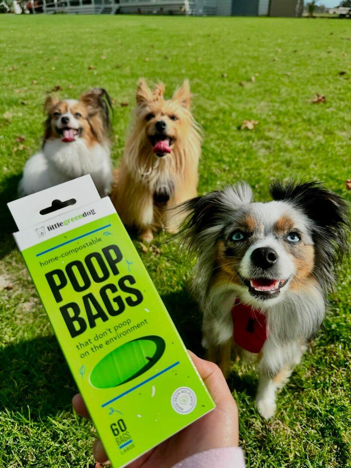 Compostable Poop Bags - 5-Pack (60 Bags)