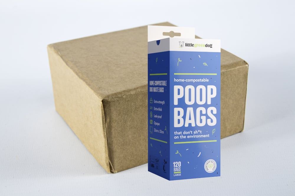 Carton - 10-Pack x 20 units